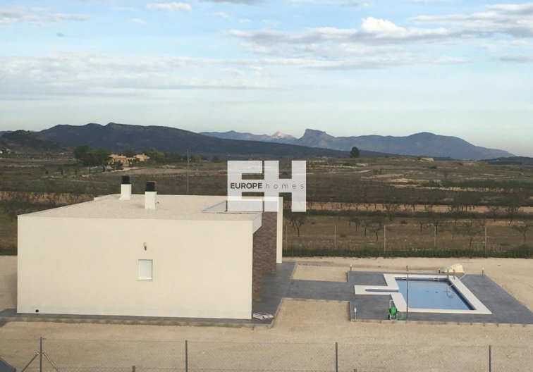 Obra Nueva - villa - Pinoso - Camino Del Prado