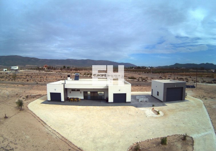 Obra Nueva - villa - Pinoso - Camino Del Prado