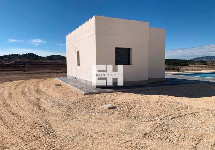 Obra Nueva - villa - Pinoso - Camino Del Prado