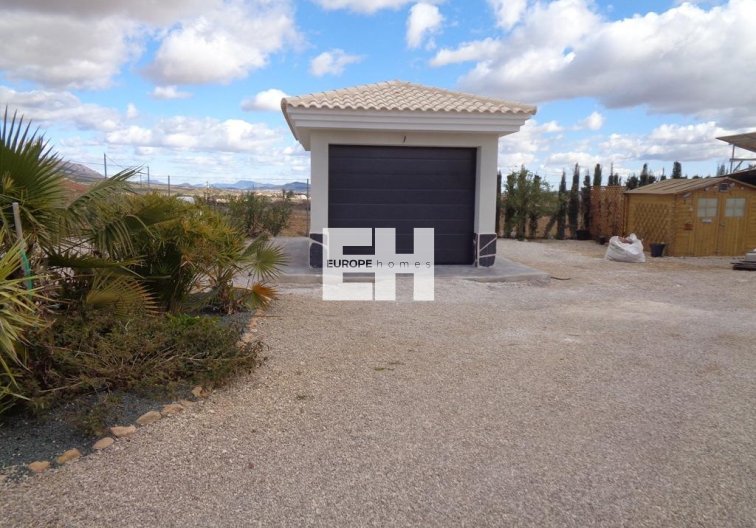 Obra Nueva - villa - Pinoso - Camino Del Prado