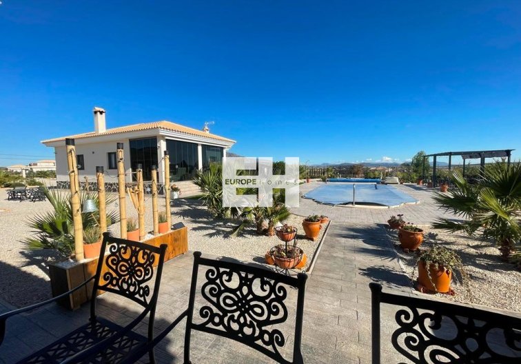 Obra Nueva - villa - Pinoso - Camino Del Prado