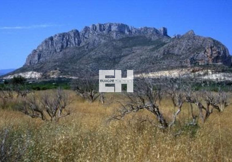 New Build - Apartment - El Verger