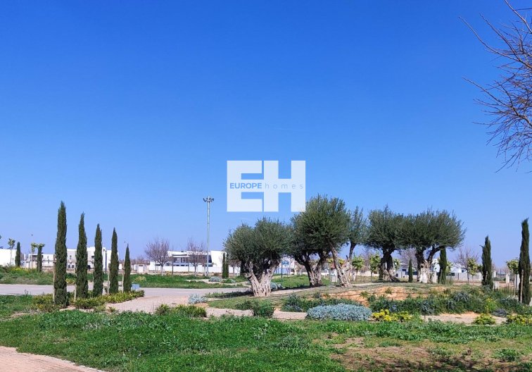 Construction Neuve - Penthouse - Torre Pacheco - Centro