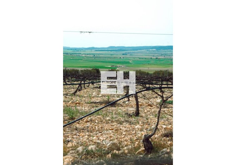 Construction Neuve - villa - Yecla