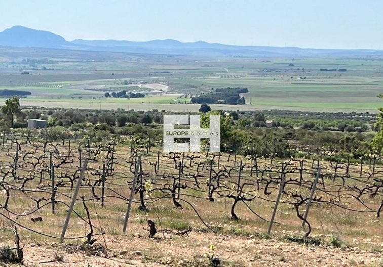 Construction Neuve - villa - Yecla