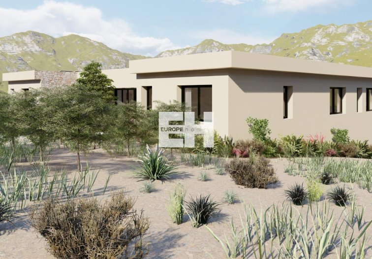 New Build - villa - Yecla