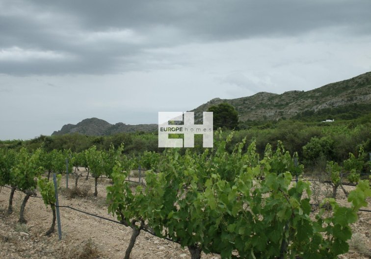 New Build - villa - Yecla