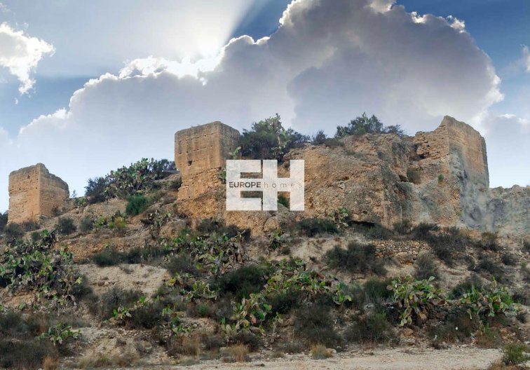 New Build - villa - Aspe - Centro