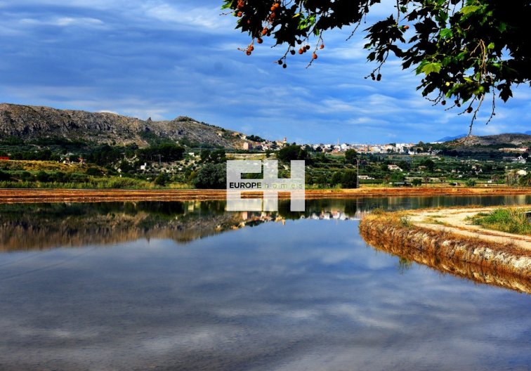 Obra Nueva - villa - Calasparra - Coto Riñales