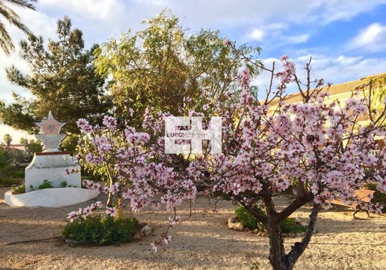 Nieuwbouw - villa - Los Urrutias - Estrella De Mar