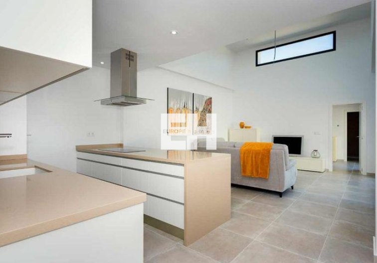 Obra Nueva - Quad - Daya Nueva - Centro