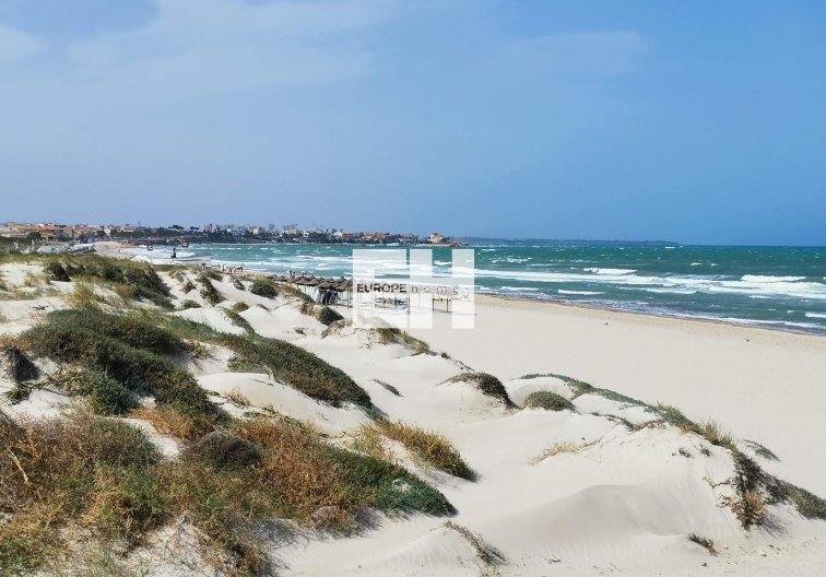 Obra Nueva - villa - Pilar de la Horadada