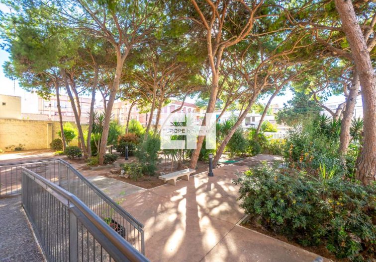 Segunda mano - Apartamento  - Lo Pagan - Costa Calida