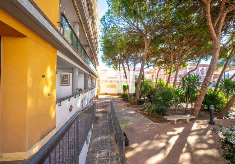 Segunda mano - Apartamento  - Lo Pagan - Costa Calida