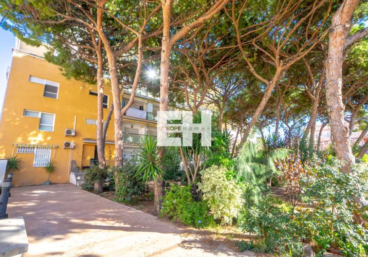 Segunda mano - Apartamento  - Lo Pagan - Costa Calida