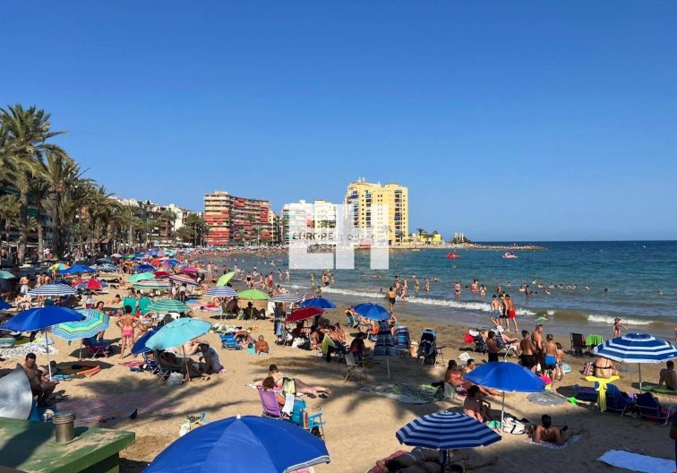 Segunda mano - Apartamento  - Torrevieja - Curva Del Palangre