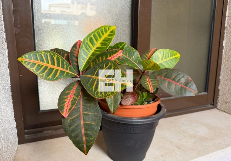 Segunda mano - Apartamento  - Orihuela Costa - Las Ramblas