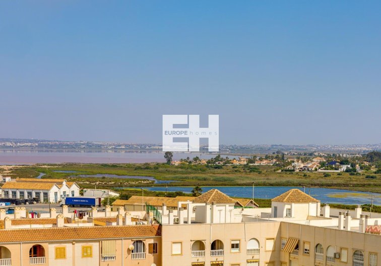 Revente - Appartement - Torrevieja - Acequion