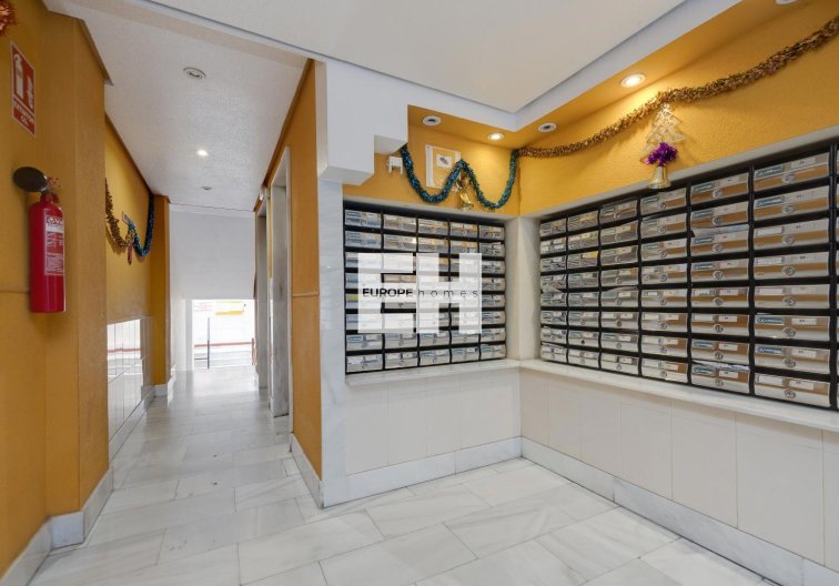 Segunda mano - Apartamento  - Torrevieja - Centro