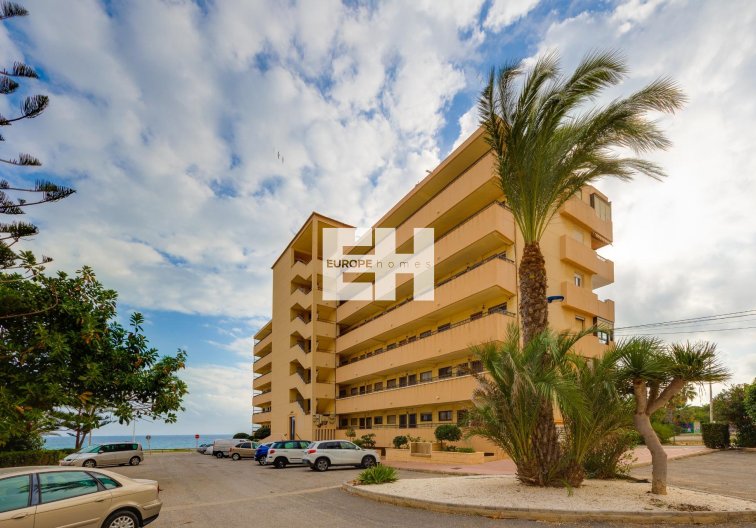 Segunda mano - Apartamento  - Torrevieja - Cabo Cervera