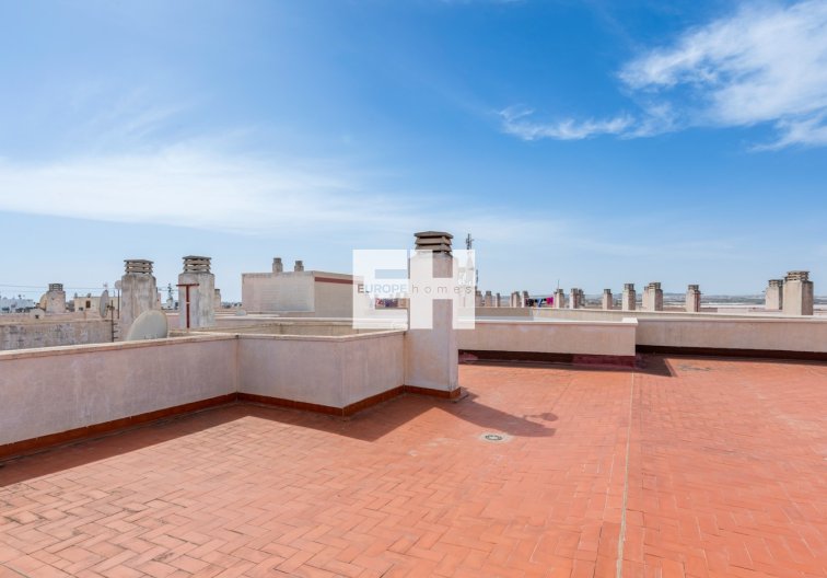 Segunda mano - Apartamento  - Torrevieja - Costa Blanca