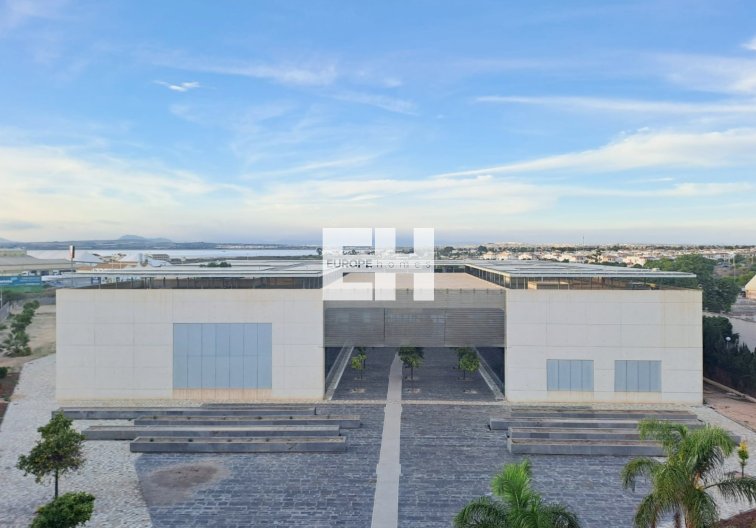 Segunda mano - Apartamento  - Torrevieja - Costa Blanca