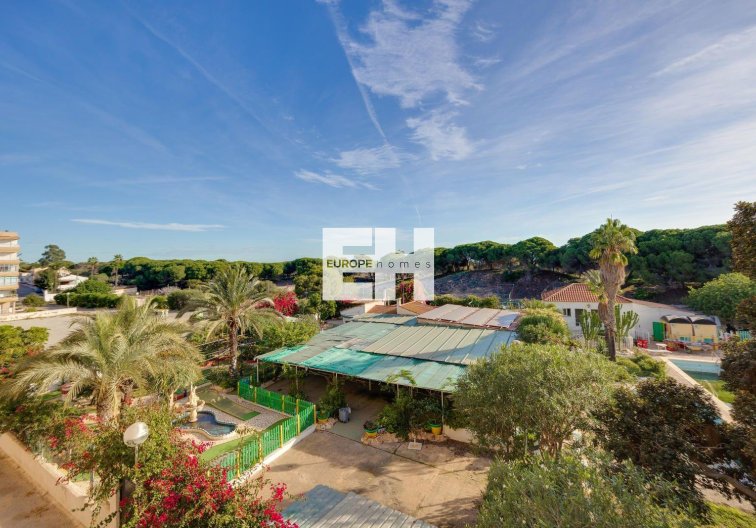 Segunda mano - Apartamento  - Guardamar del Segura - Pinomar