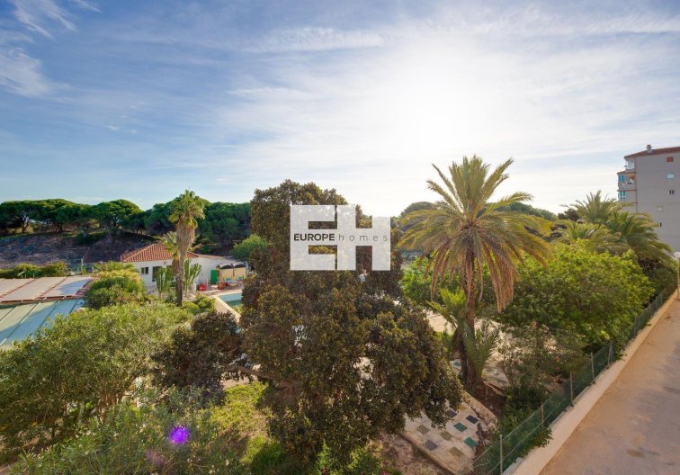 Segunda mano - Apartamento  - Guardamar del Segura - Pinomar