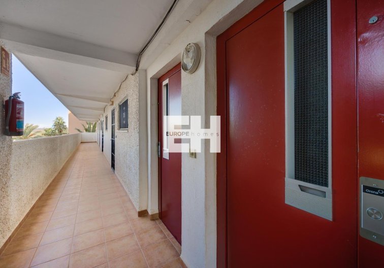 Segunda mano - Apartamento  - Guardamar del Segura - Pinomar