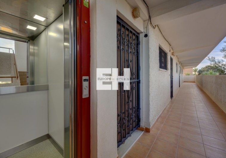 Segunda mano - Apartamento  - Guardamar del Segura - Pinomar