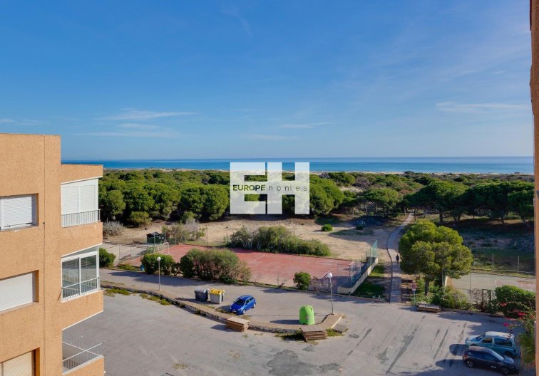 Segunda mano - Apartamento  - Guardamar del Segura - Pinomar