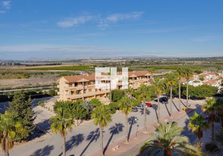 Segunda mano - Apartamento  - Guardamar del Segura - Pinomar