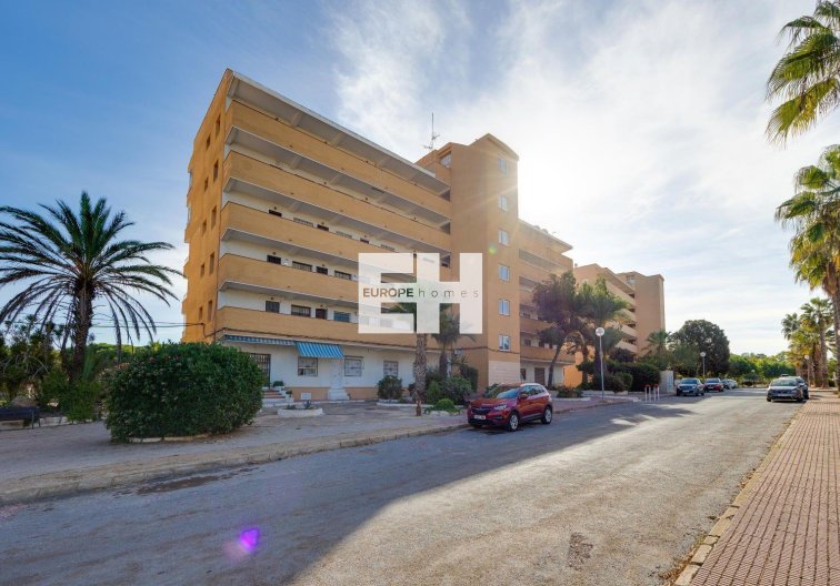 Segunda mano - Apartamento  - Guardamar del Segura - Pinomar