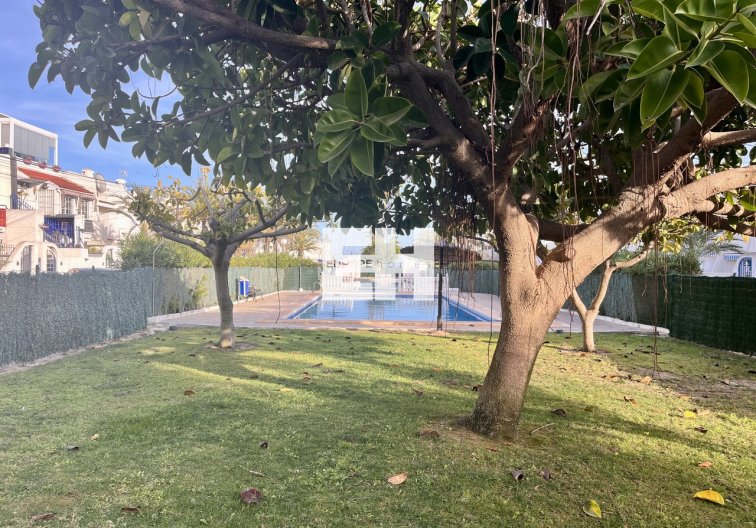 Segunda mano - Apartamento  - Torrevieja - Costa Blanca