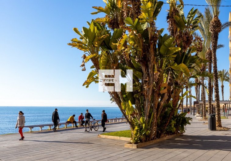 Segunda mano - Apartamento  - Torrevieja - Costa Blanca