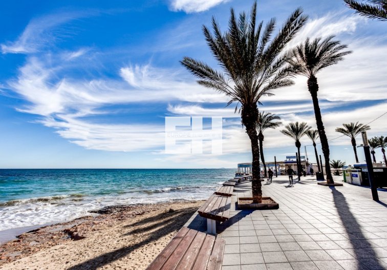 Segunda mano - Apartamento  - Torrevieja - Costa Blanca