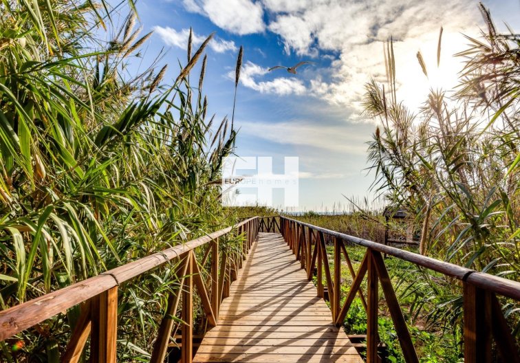 Resale - Apartment - Torrevieja - La Mata