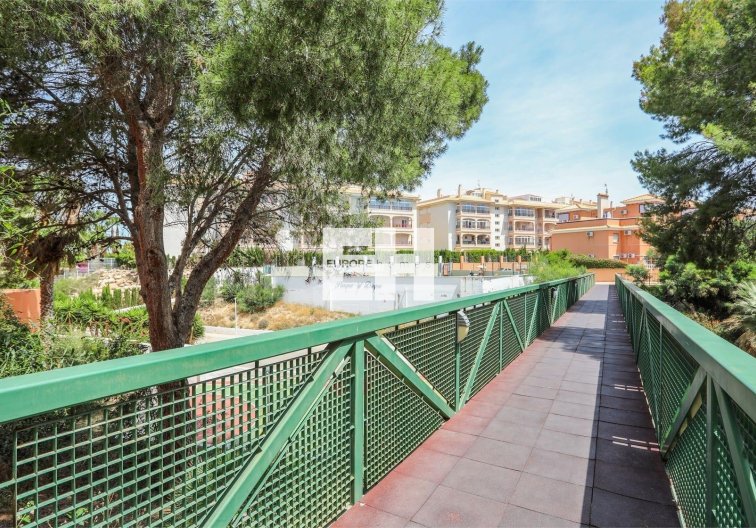 Resale - Apartment - Orihuela Costa - Playa Flamenca