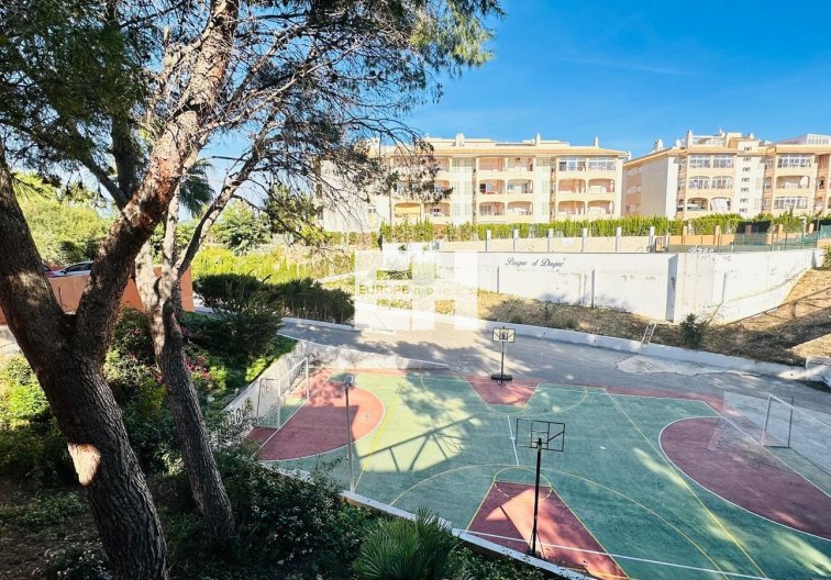 Resale - Apartment - Orihuela Costa - Playa Flamenca