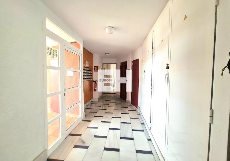 Segunda mano - Apartamento  - Torrevieja - Costa Blanca