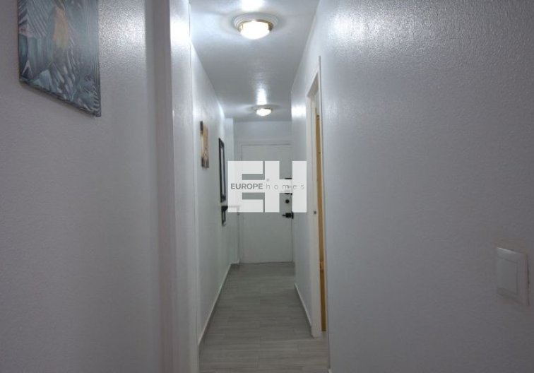 Segunda mano - Apartamento  - Torrevieja - Costa Blanca