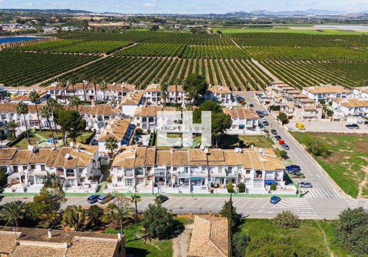 Segunda mano - Duplex - Torrevieja - Costa Blanca