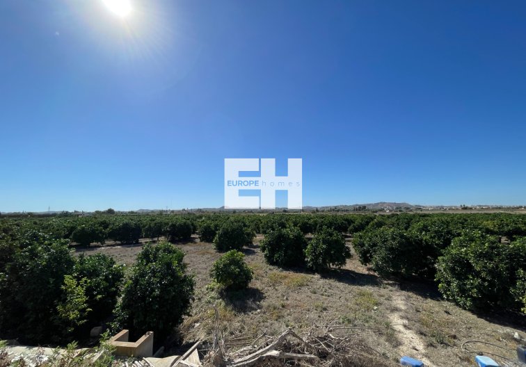 Segunda mano - town house - San Fulgencio - Costa Blanca