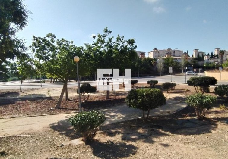 Segunda mano - Apartamento  - Orihuela Costa - LOMAS CABO ROIG