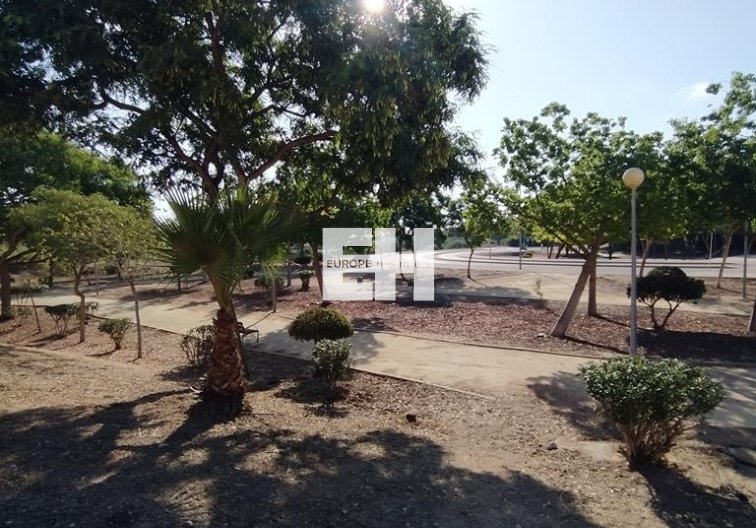 Segunda mano - Apartamento  - Orihuela Costa - LOMAS CABO ROIG