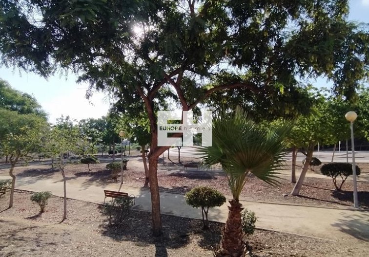 Segunda mano - Apartamento  - Orihuela Costa - LOMAS CABO ROIG