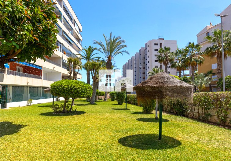 Segunda mano - Apartamento  - Torrevieja - Costa Blanca