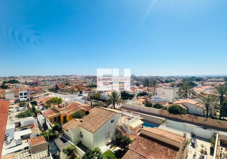 Segunda mano - Apartamento  - Torrevieja - Nueva Torrevieja