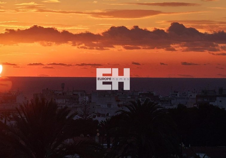 Segunda mano - Apartamento  - Torrevieja - Nueva Torrevieja