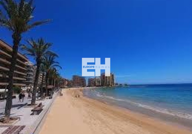 Segunda mano - Apartamento  - Torrevieja - Estacion De Autobuses